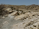 BCS_S6_E3_0931.jpg